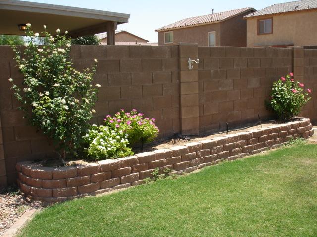 44953 Miramar Road Maricopa, AZ 85139 - Photo 17 of 20 Flowers
