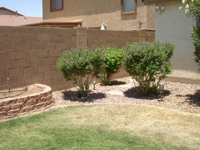 44953 Miramar Road Maricopa, AZ 85139 - Photo 19 of 20 Another view of backyard