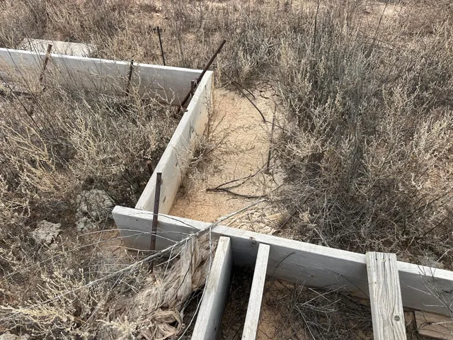 a view of outdoor space and seating