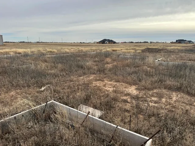 a view of a lake from a yard