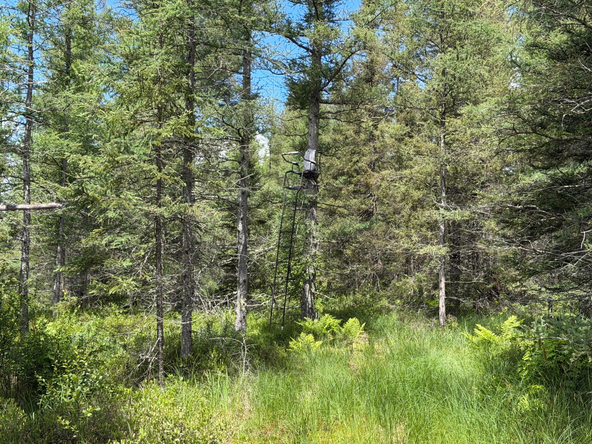 5566 McNaughton Lane Rhinelander, WI 54501 - Photo 28 of 32 Gallery Image 28