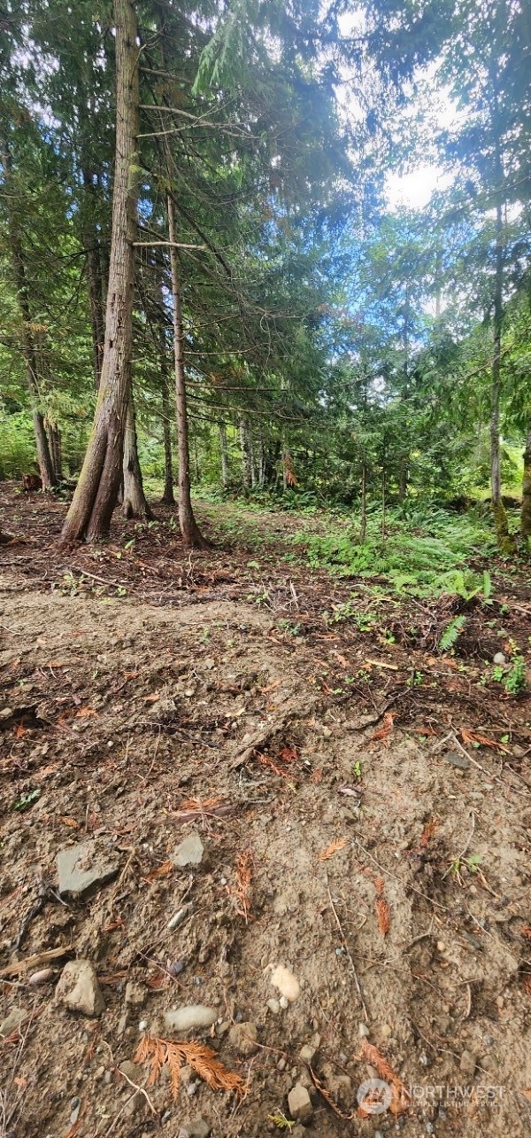 457 Mcclure View Rd Port Port Angeles, WA 98363 - Photo 26 of 35 Gallery Image 26
