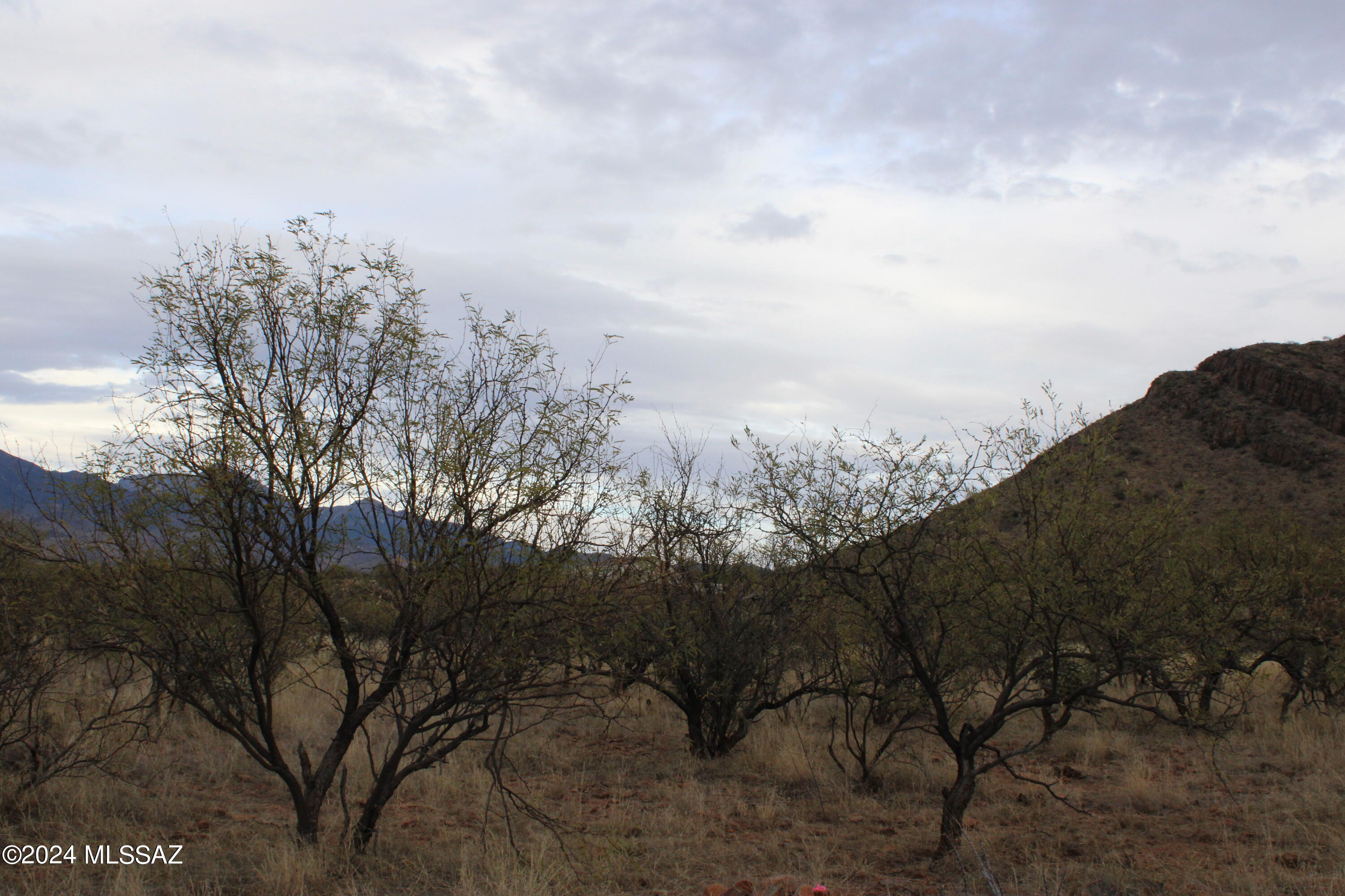 1832 Calle Caracol, Unit 12 Rio Rico, AZ 85648 - Photo 2 of 7 a view of a space with wooden fence and covered trees