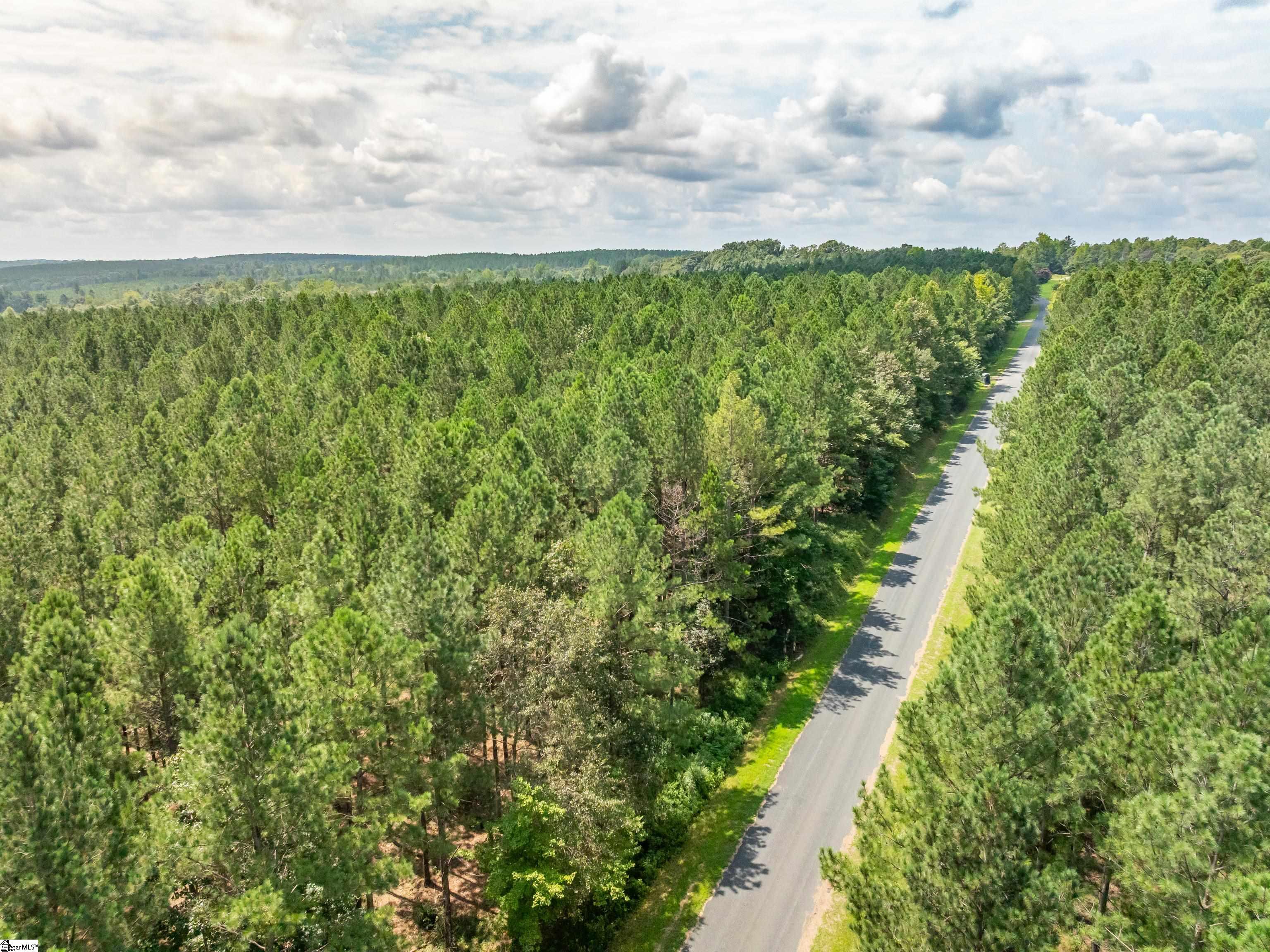 5 Gault Creek Road Jonesville, SC 29353 - Photo 11 of 37