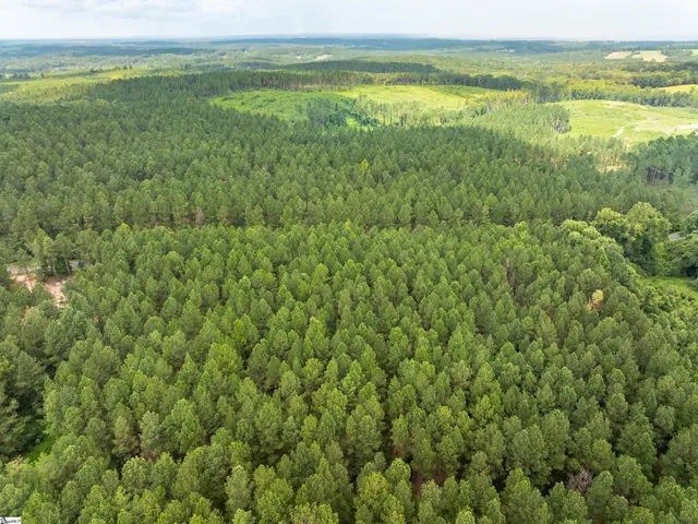 $99,000 | 5 Gault Creek Road, Jonesville, SC 29353