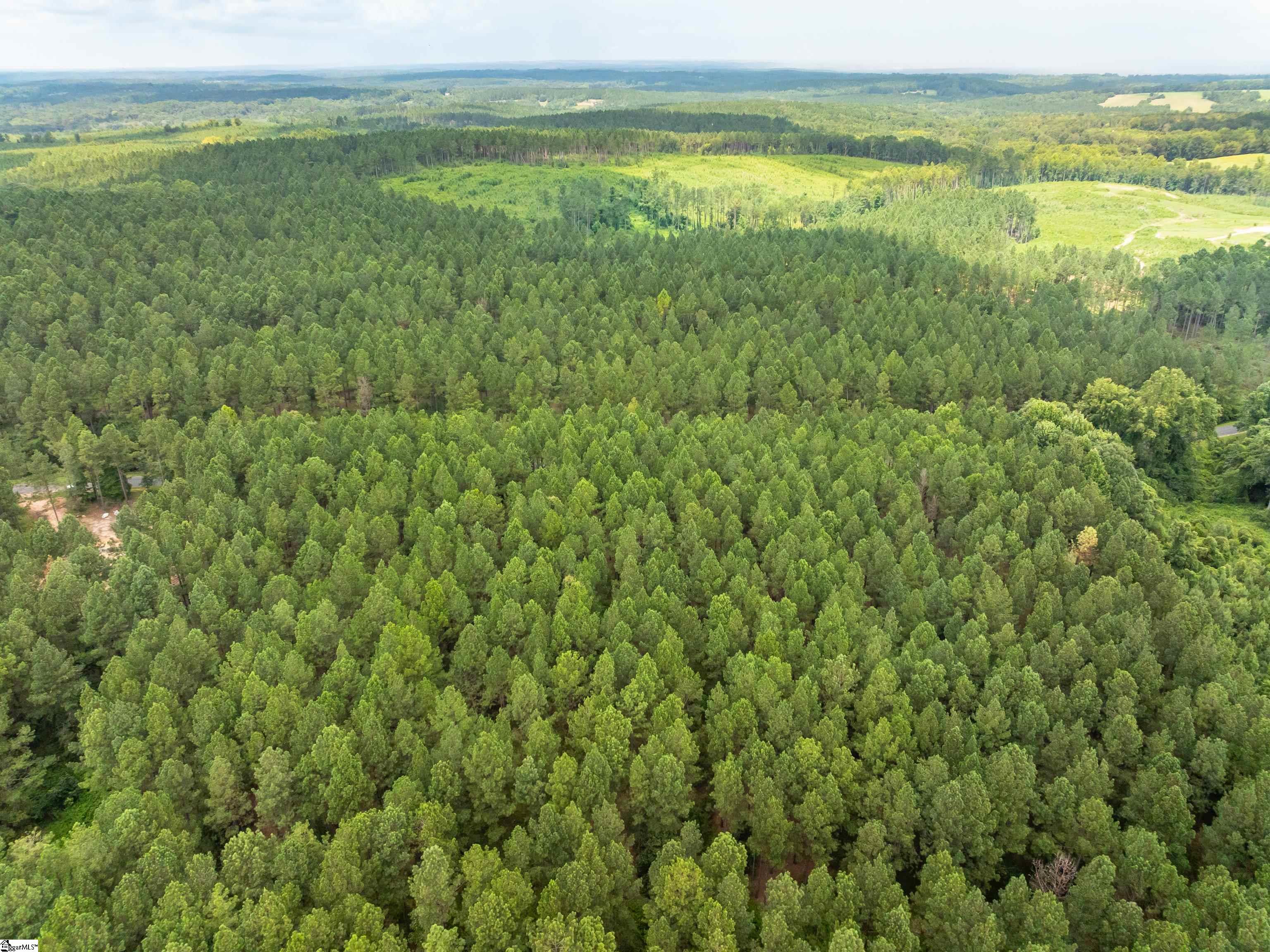 5 Gault Creek Road Jonesville, SC 29353 - Photo 15 of 37