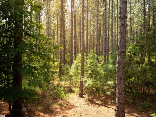 $99,000 | 5 Gault Creek Road, Jonesville, SC 29353