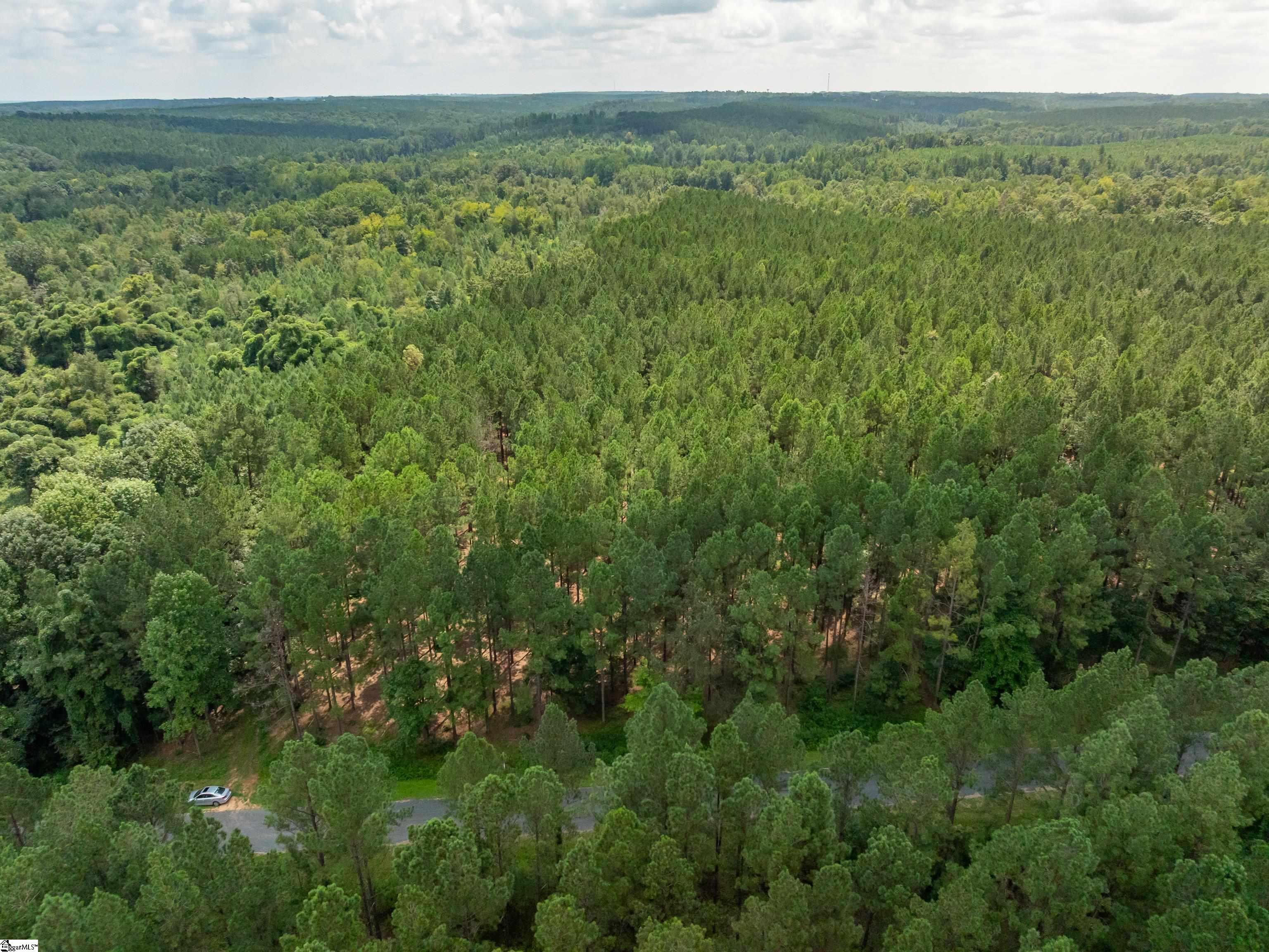 5 Gault Creek Road Jonesville, SC 29353 - Photo 19 of 37