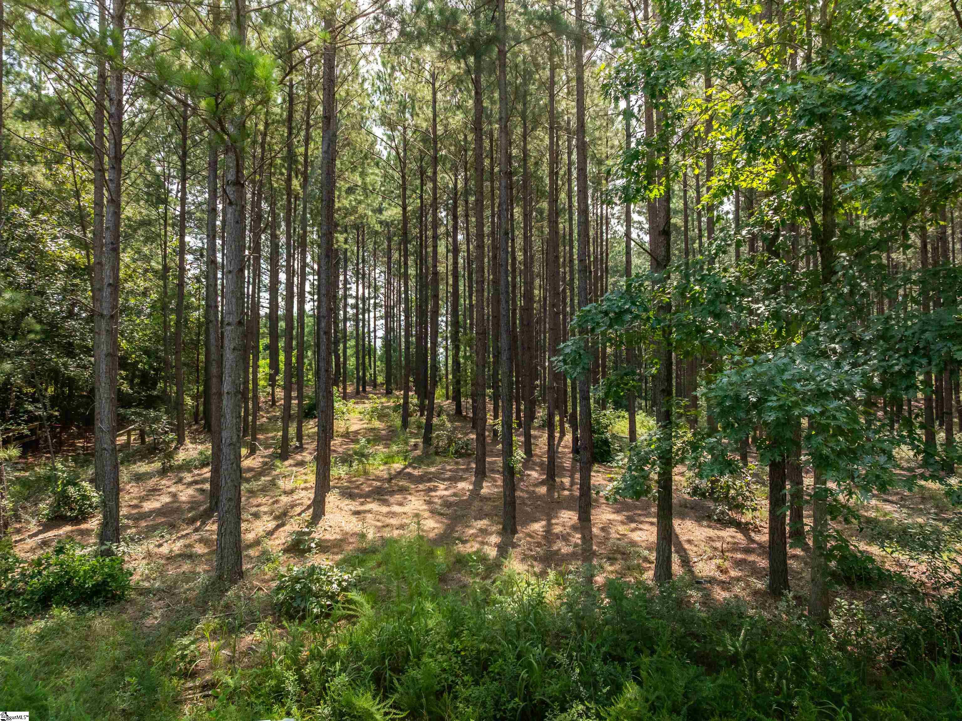 5 Gault Creek Road Jonesville, SC 29353 - Photo 26 of 37