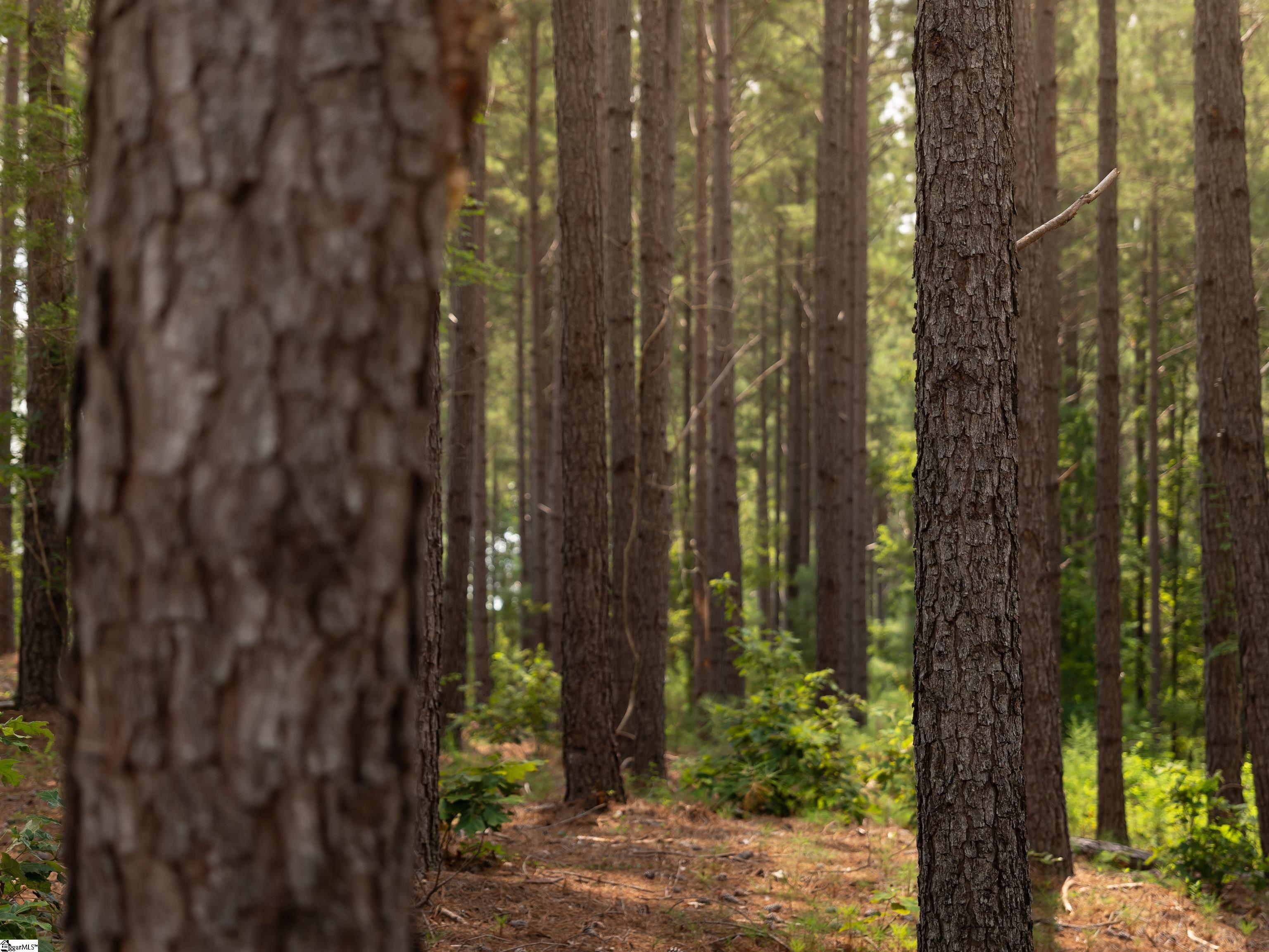 5 Gault Creek Road Jonesville, SC 29353 - Photo 28 of 37