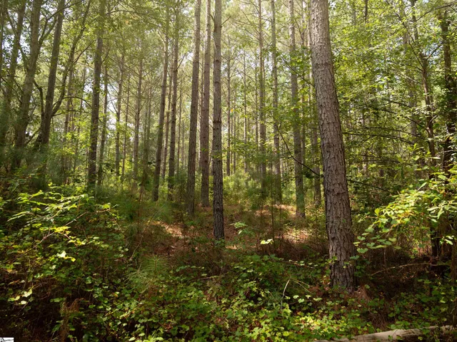 $99,000 | 5 Gault Creek Road, Jonesville, SC 29353