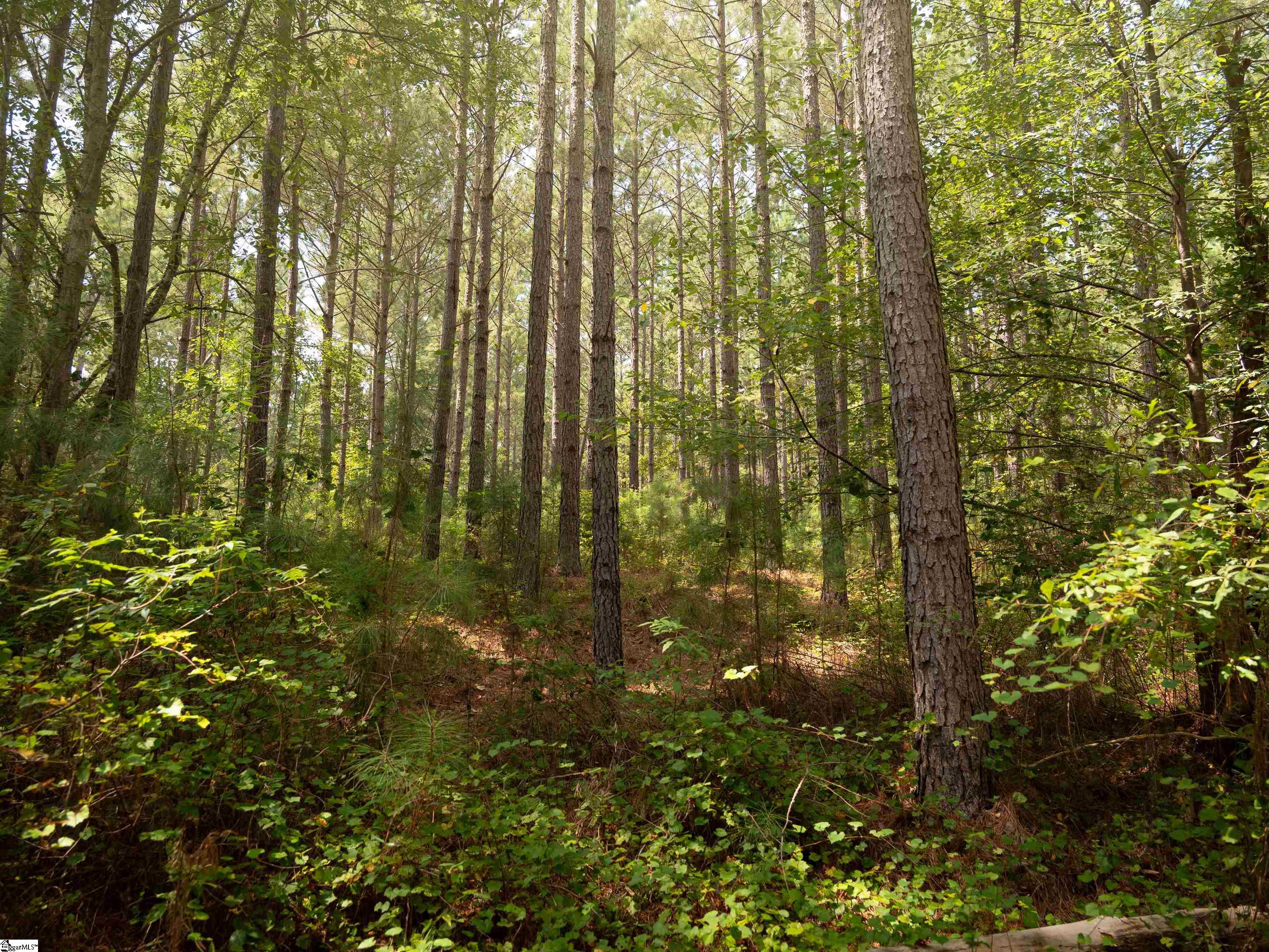 5 Gault Creek Road Jonesville, SC 29353 - Photo 29 of 37