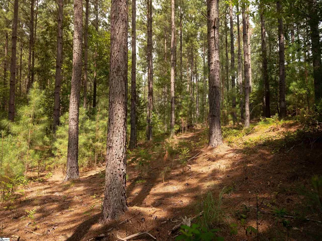 $99,000 | 5 Gault Creek Road, Jonesville, SC 29353