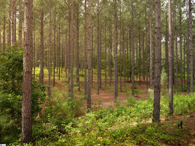 $99,000 | 5 Gault Creek Road, Jonesville, SC 29353