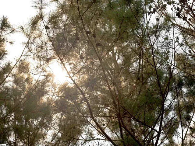 $99,000 | 5 Gault Creek Road, Jonesville, SC 29353