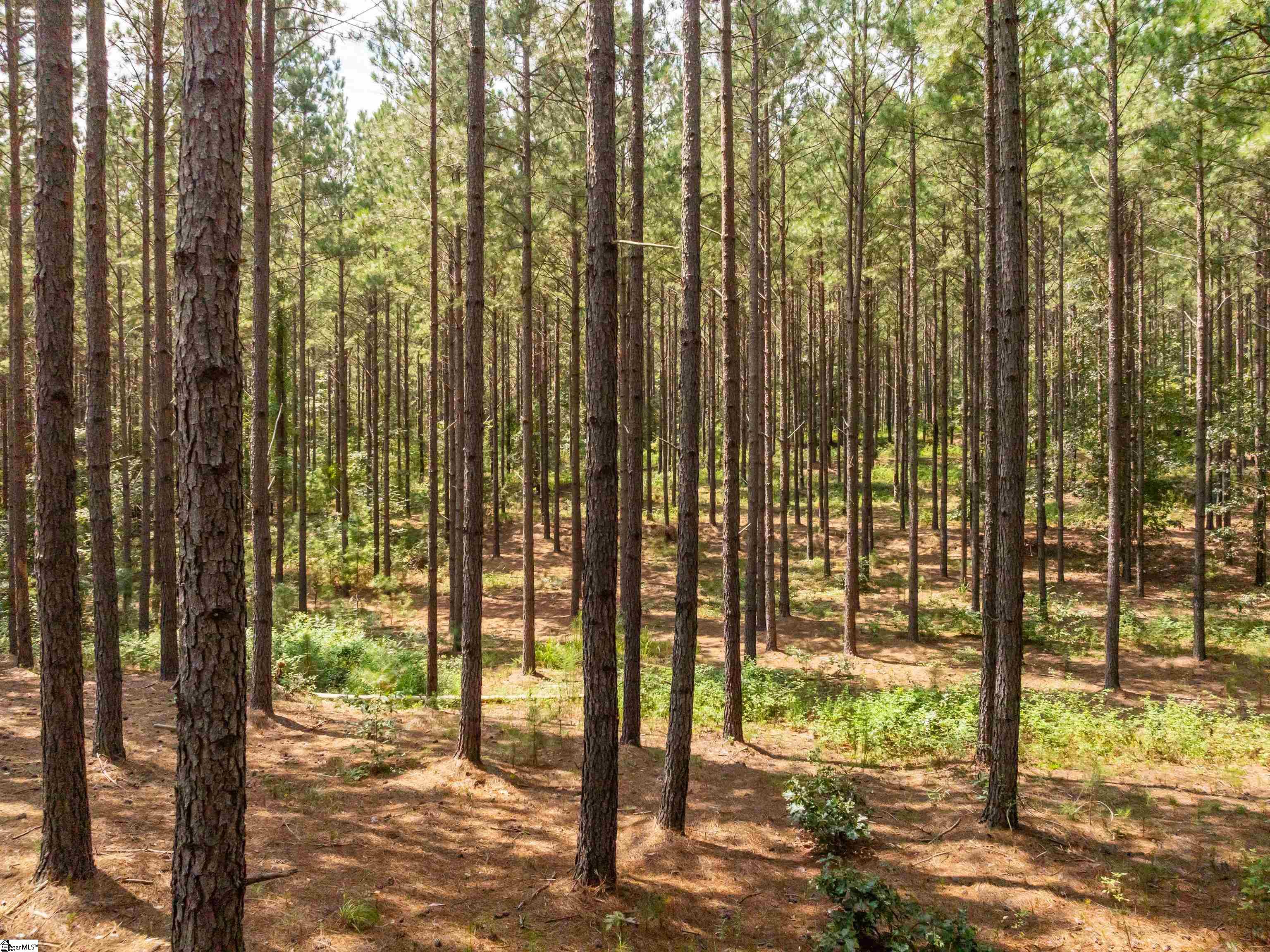 5 Gault Creek Road Jonesville, SC 29353 - Photo 4 of 37