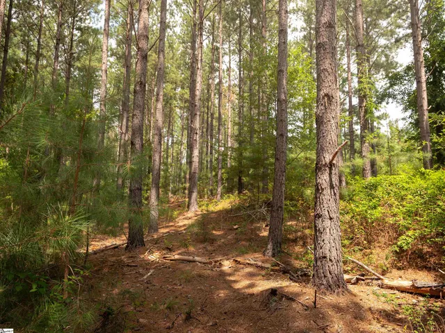 $99,000 | 5 Gault Creek Road, Jonesville, SC 29353