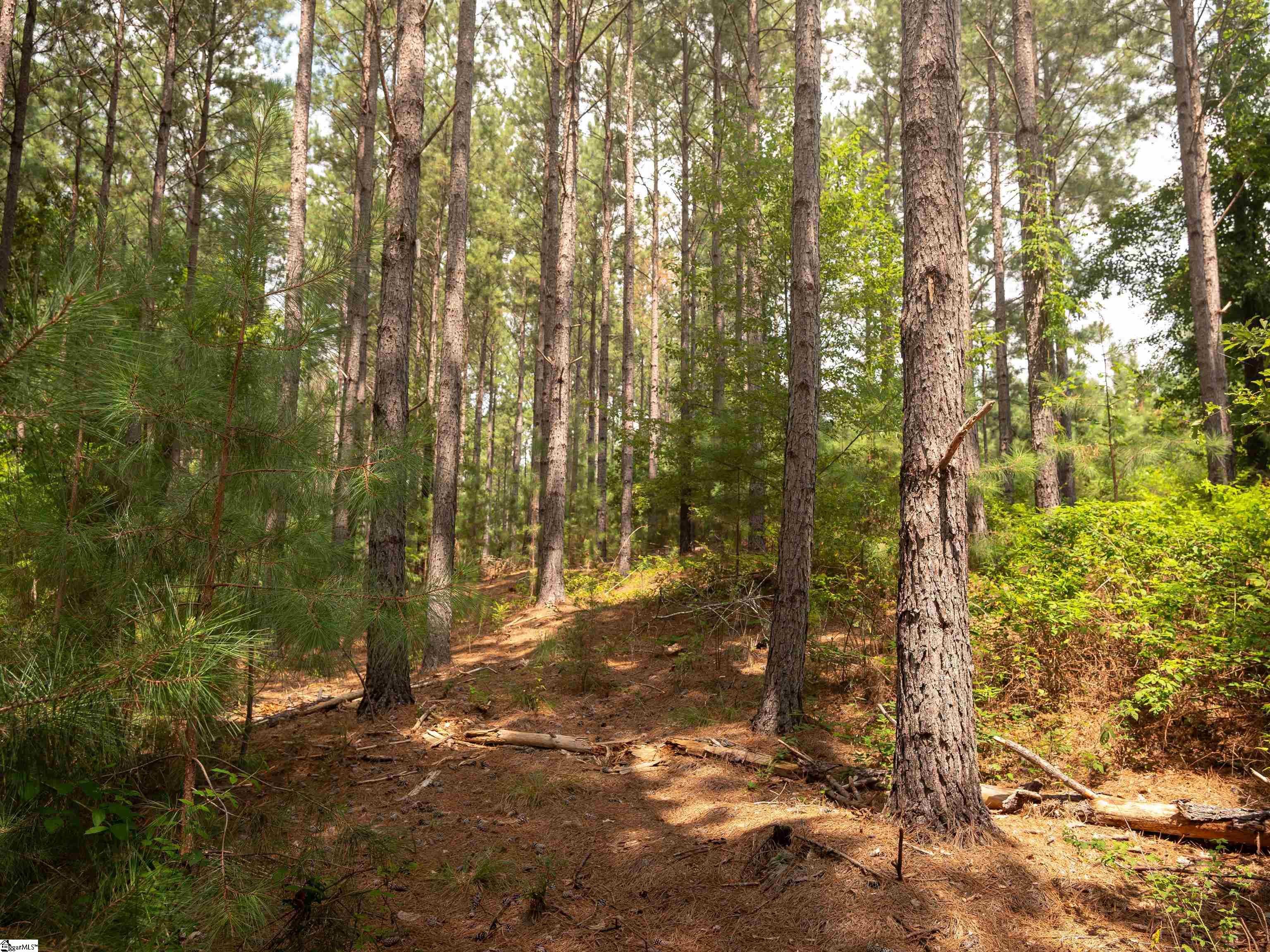 5 Gault Creek Road Jonesville, SC 29353 - Photo 5 of 37