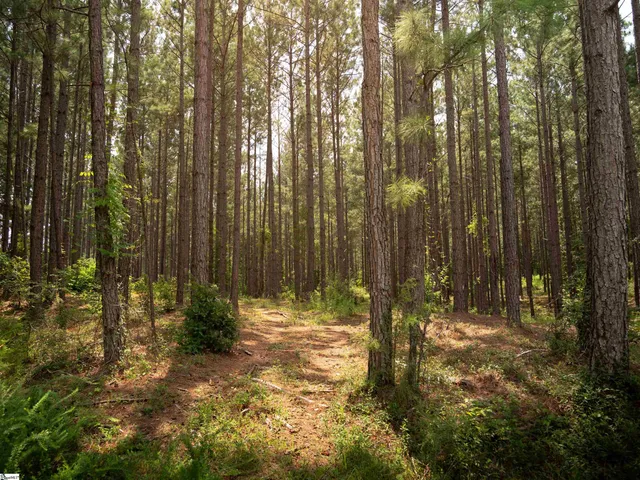 $99,000 | 5 Gault Creek Road, Jonesville, SC 29353