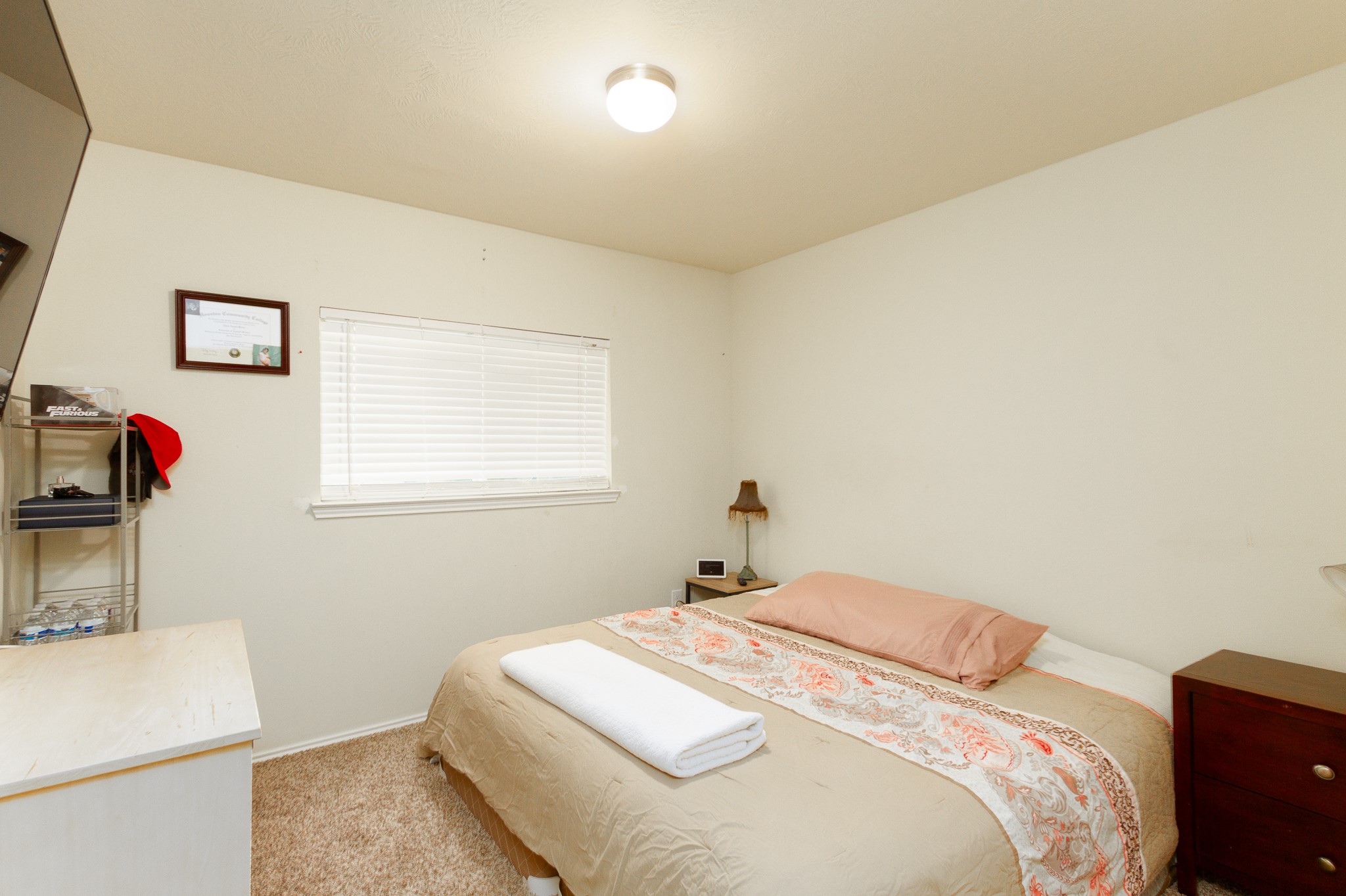 1107 Arum Road Missouri City, TX 77489 - Photo 16 of 23 Bedroom 2 with nice closet space, neutral carpet and backyard views.