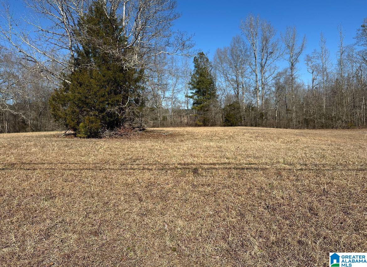 4854 Tabor Road, Unit 7 Gadsden, AL 35904 - Photo 4 of 4 Gallery Image 4