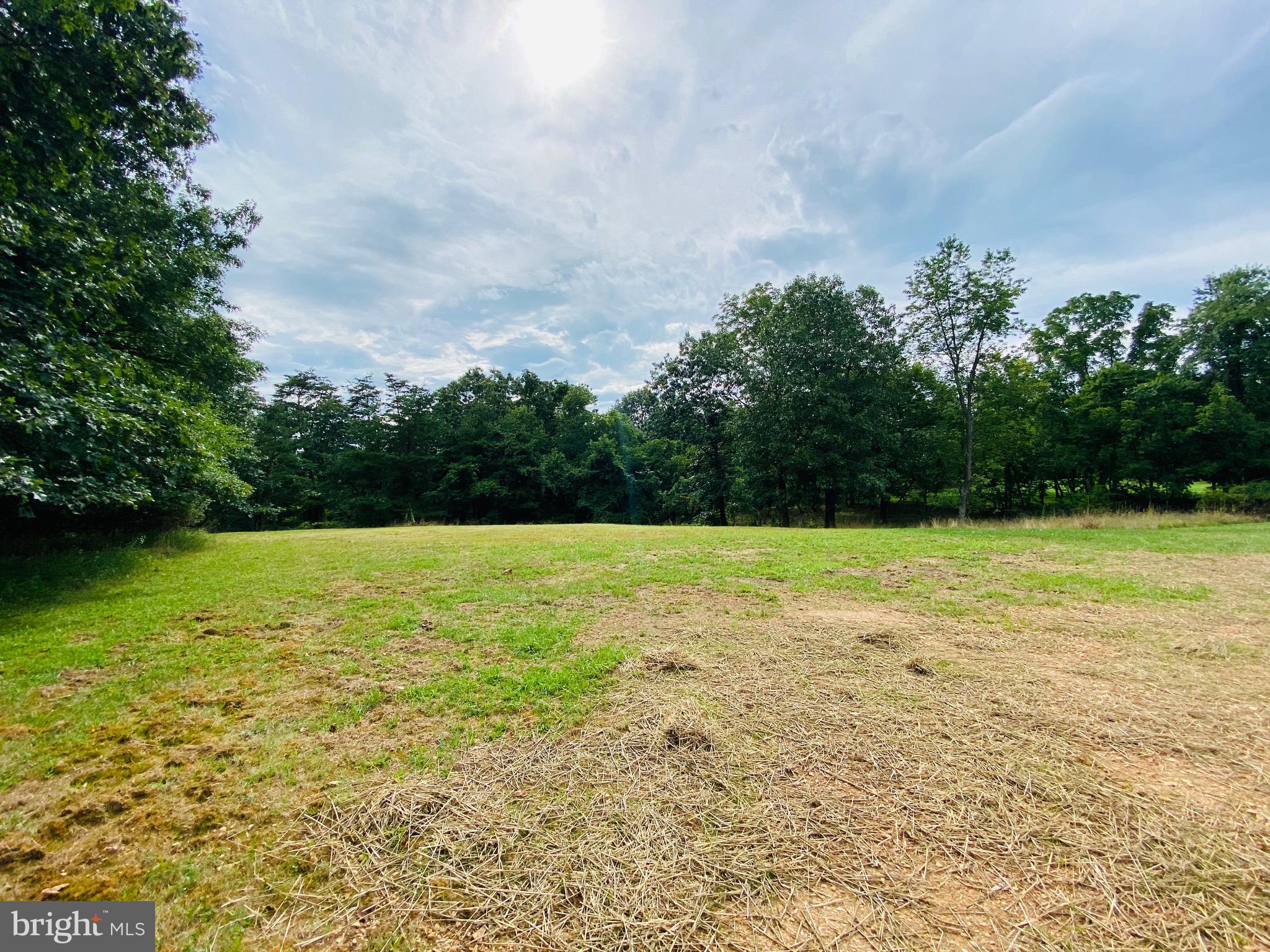1054 Jordan Springs Road Stephenson, VA 22656 - Photo 30 of 32 Rear yard