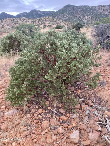 $89,000 | Tbd North Hannon Ranch Lane, Unit 11051013B9, Bisbee, AZ 85603