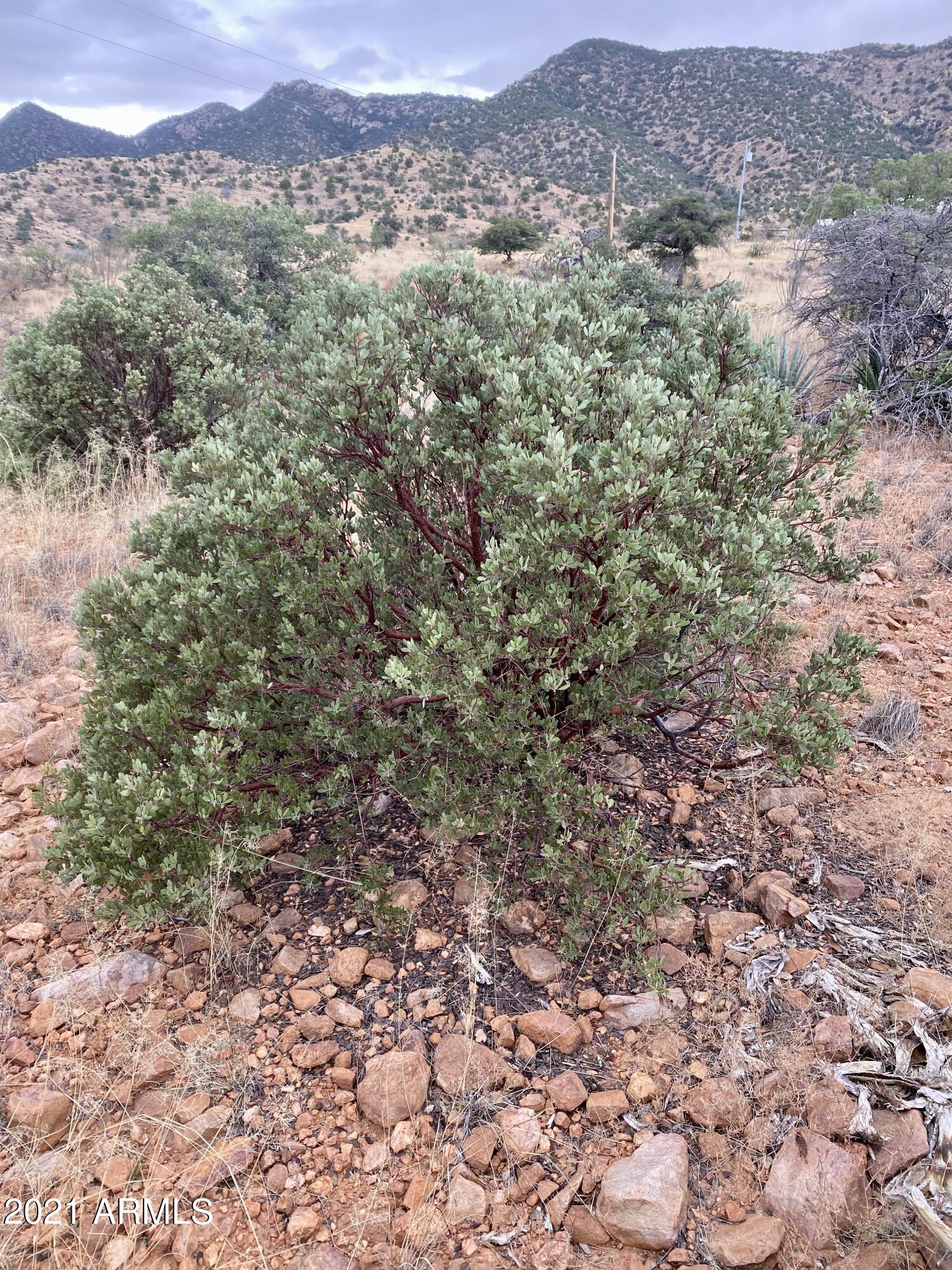 Tbd North Hannon Ranch Lane, Unit 11051013B9 Bisbee, AZ 85603 - Photo 21 of 46 75CF39B0-5E3F-4D98-8256-80E3D34E732F