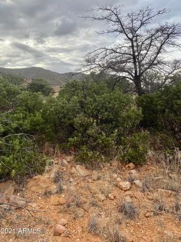 $89,000 | Tbd North Hannon Ranch Lane, Unit 11051013B9, Bisbee, AZ 85603