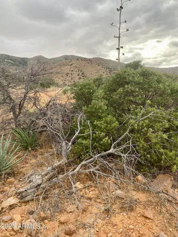 $89,000 | Tbd North Hannon Ranch Lane, Unit 11051013B9, Bisbee, AZ 85603