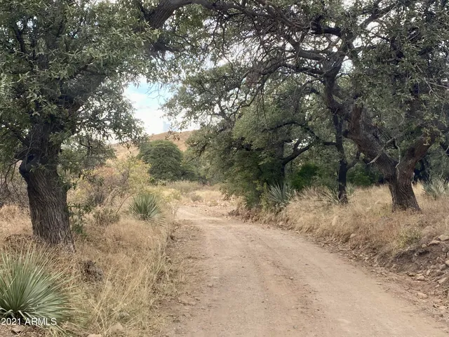 $89,000 | Tbd North Hannon Ranch Lane, Unit 11051013B9, Bisbee, AZ 85603