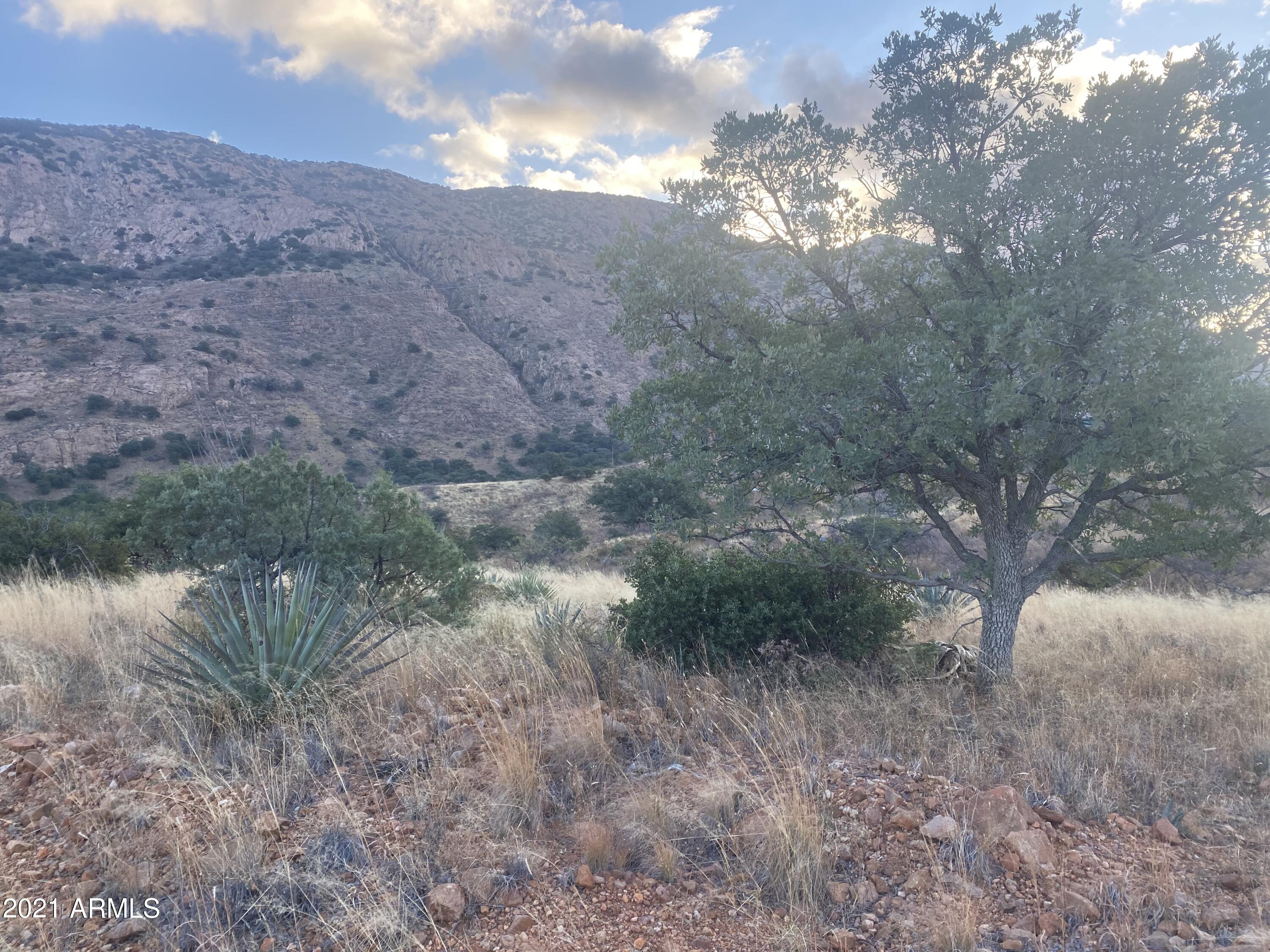 Tbd North Hannon Ranch Lane, Unit 11051013B9 Bisbee, AZ 85603 - Photo 8 of 46 9540F15B-8DF9-4475-85A0-A2A06091B6DB