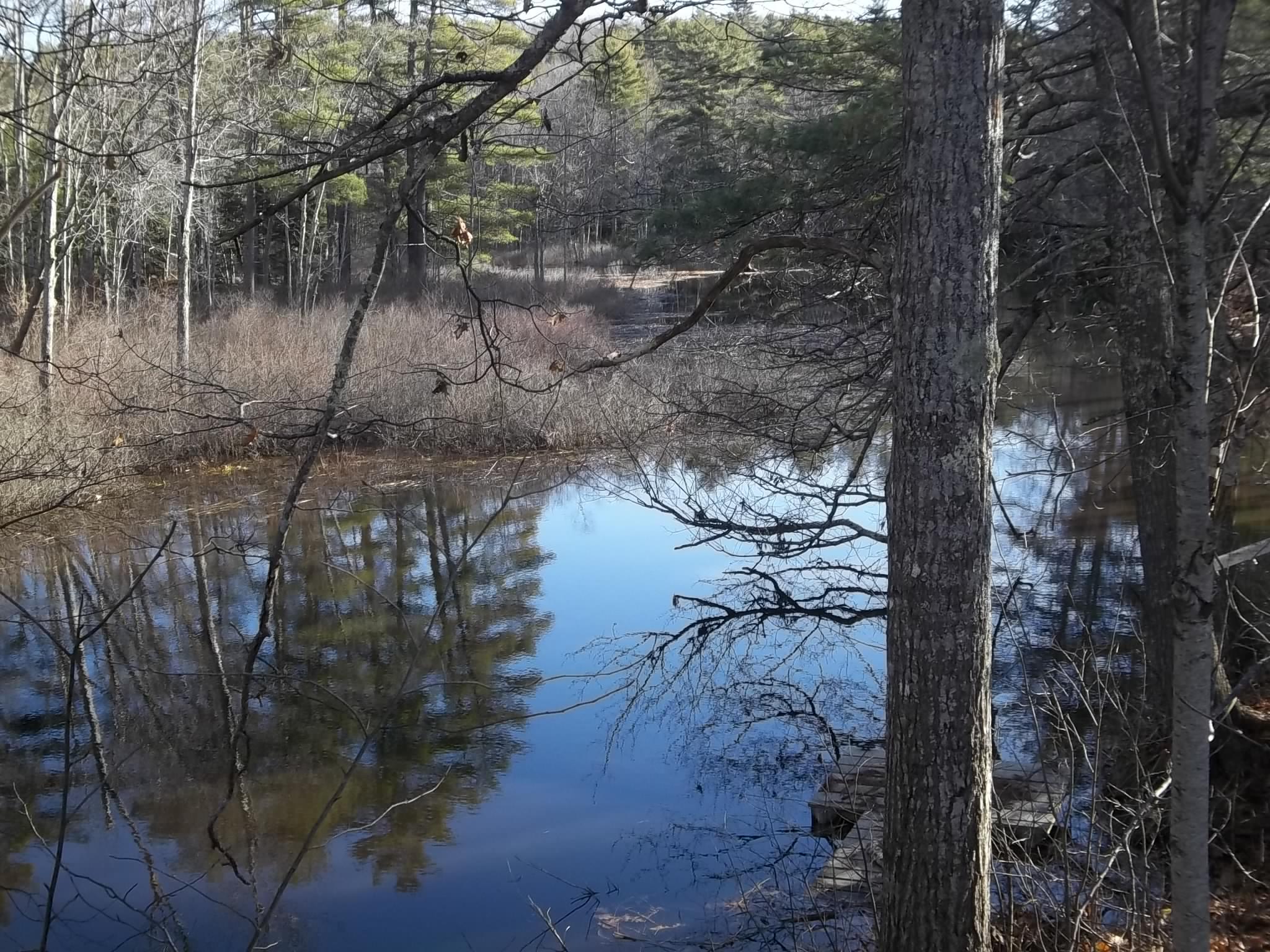 51 Washington Road Jefferson, ME 04348 - Photo 12 of 28 FrizzellWRd2