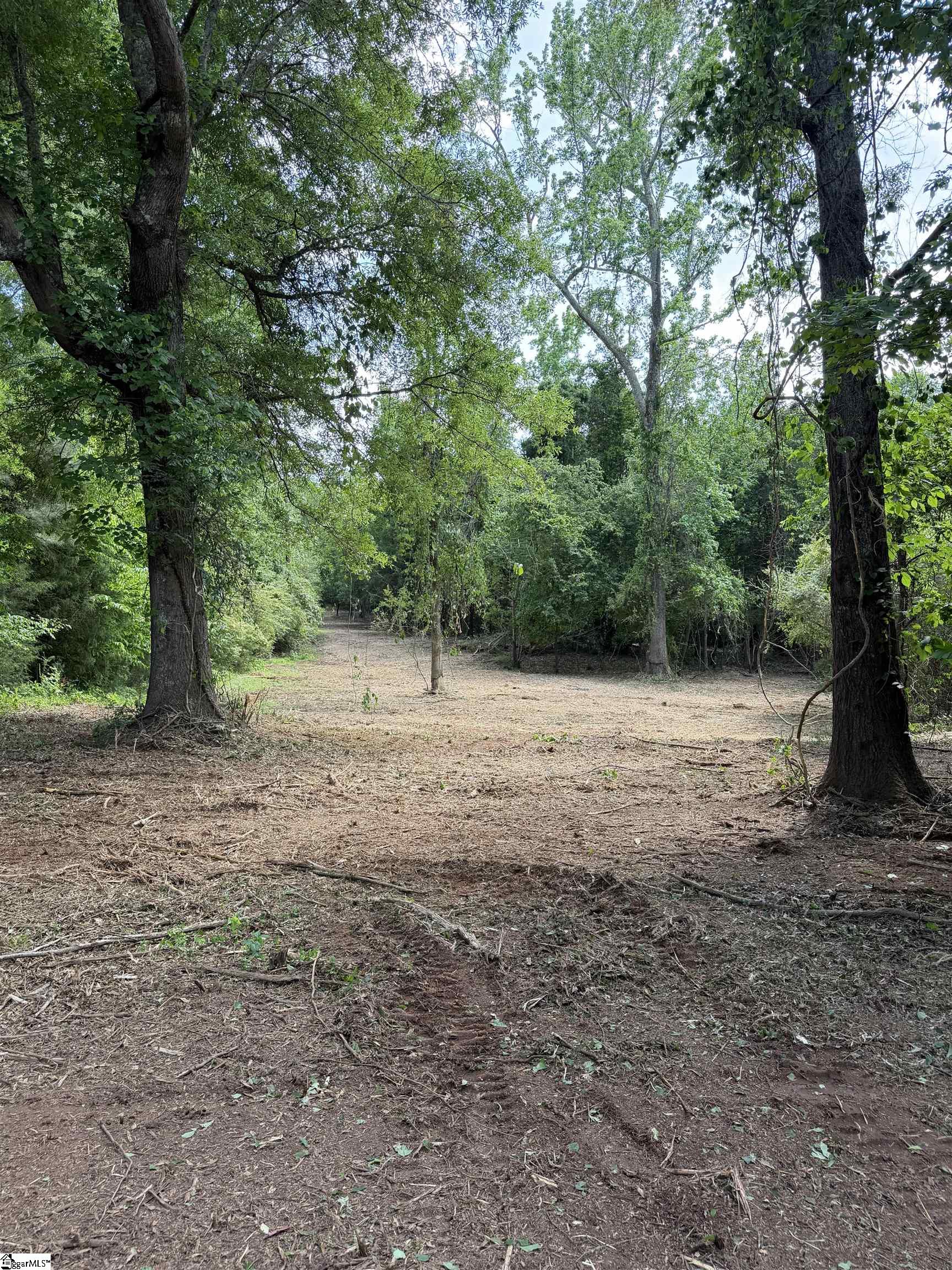 772 Brick House Road Laurens, SC 29360 - Photo 1 of 8