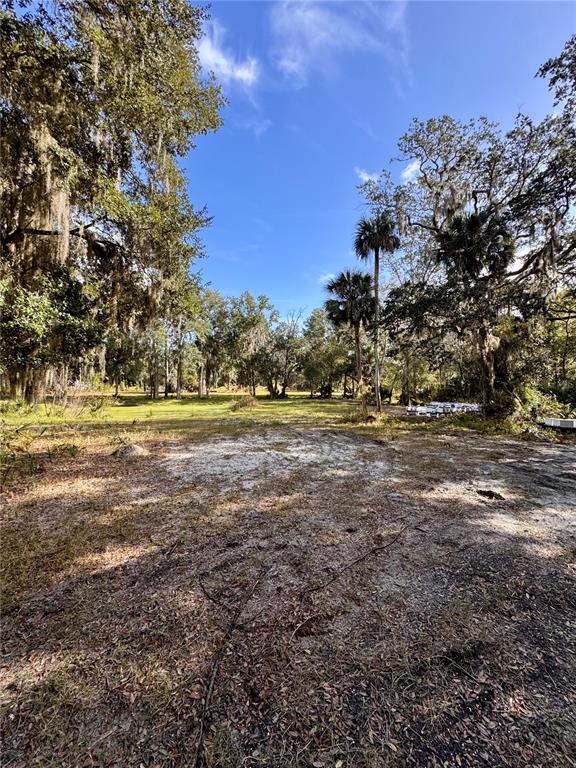 0 Clinton Cemetery Road Edgewater, FL 32141 - Photo 27 of 32