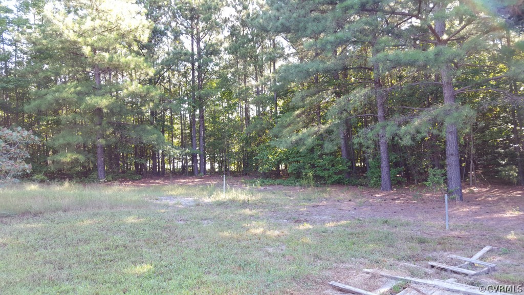 8203 Bull Hill Road Prince George, VA 23875 - Photo 4 of 15 Gallery Image 4