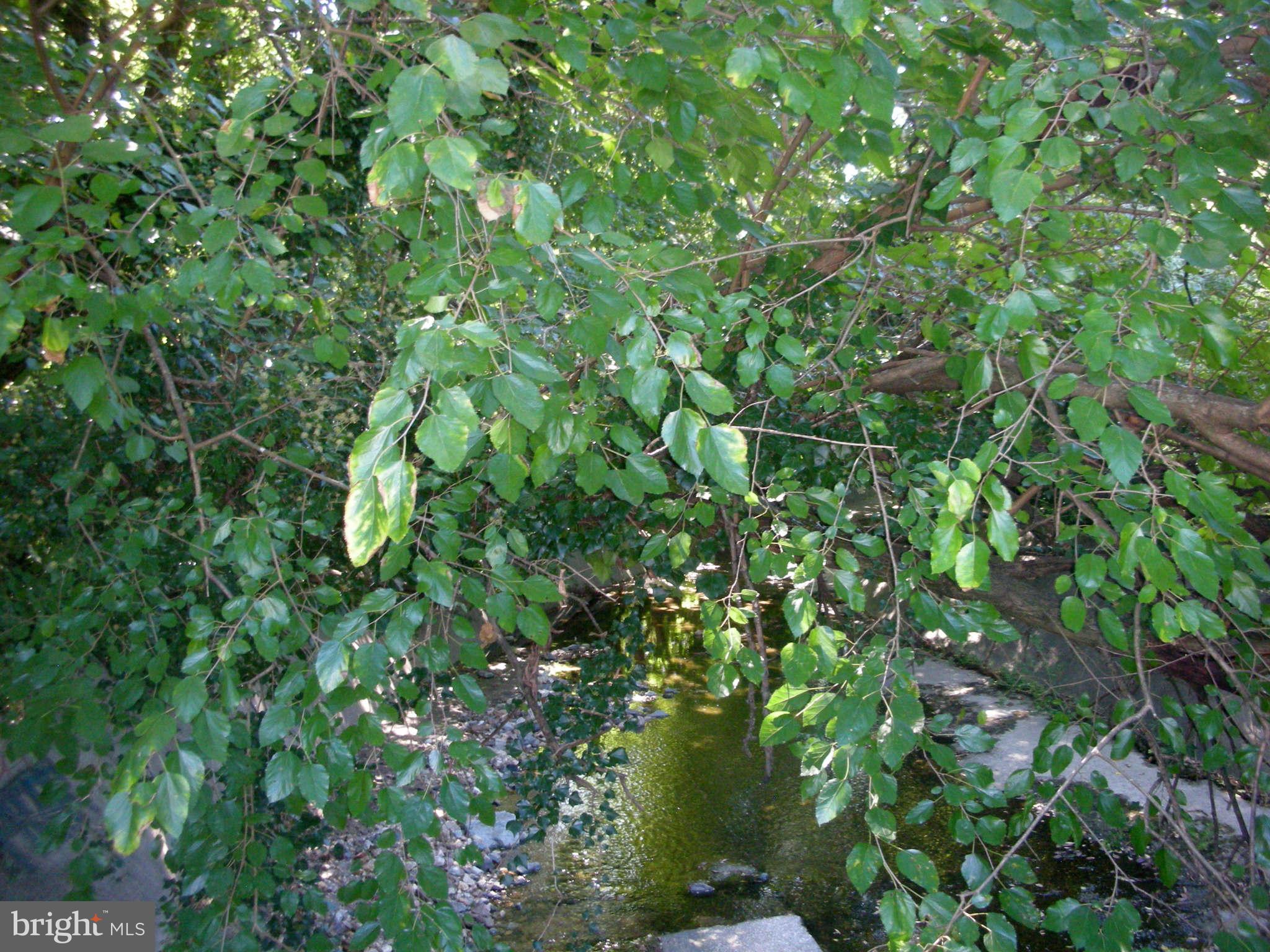 4245 Wickford Road Baltimore, MD 21210 - Photo 8 of 10 a backyard of a house with lots of trees