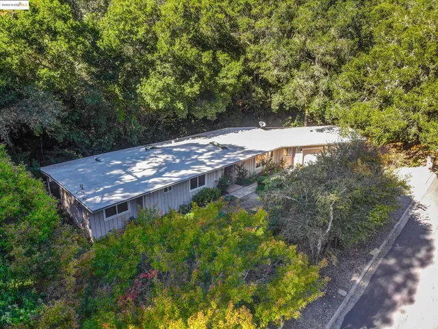 a view of a backyard with plants