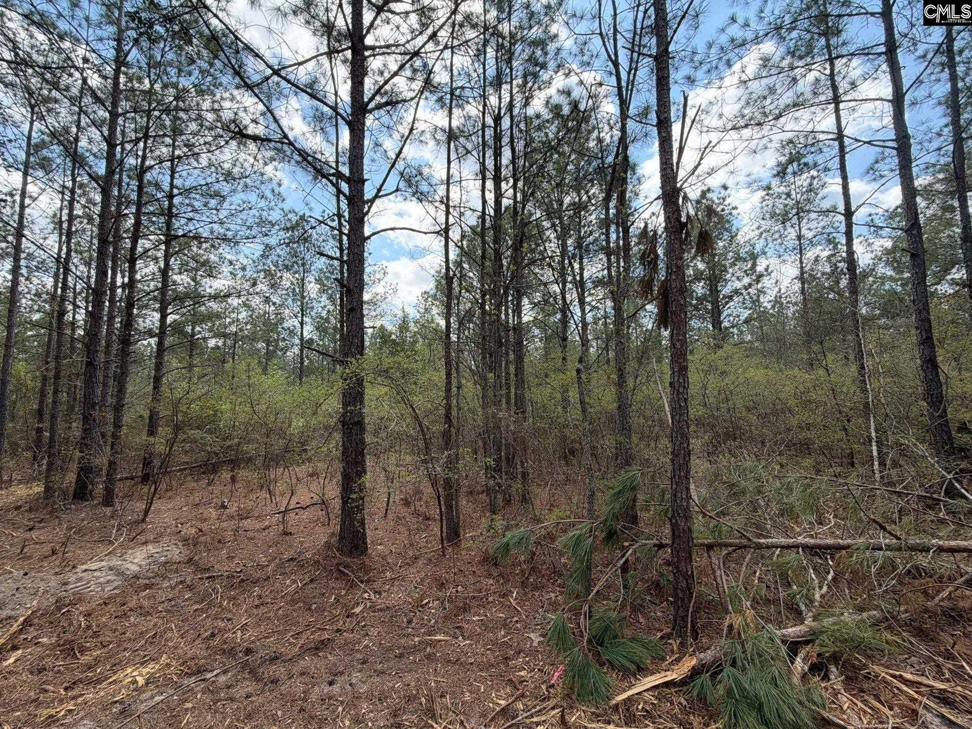 2 Mt Calvary Rd Ridge Spring, Unit CA 2 Ridge Spring, SC 29129 - Photo 21 of 29
