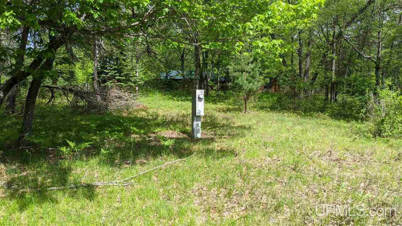 T-wi Wi 54121 Road Florence, WI 54121 - Photo 7 of 11