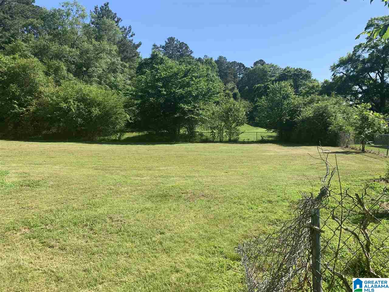 100 Boat Landing Road Oneonta, AL 35121 - Photo 5 of 20