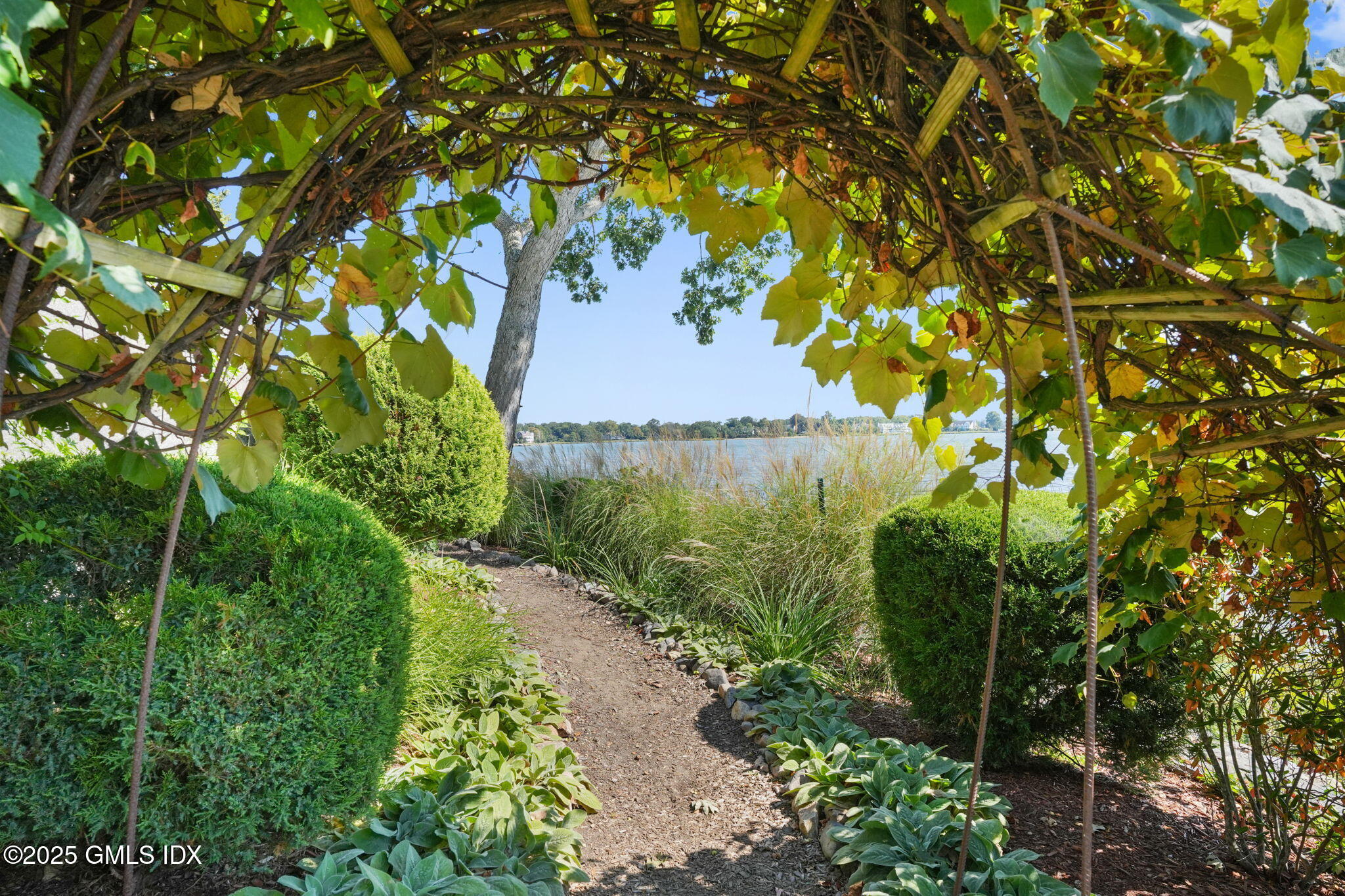 19 Weeds Landing Darien, CT 06820 - Photo 72 of 98 a view of a yard with plants and a large tree