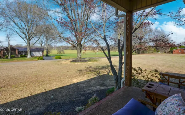 a view of a yard with tree s
