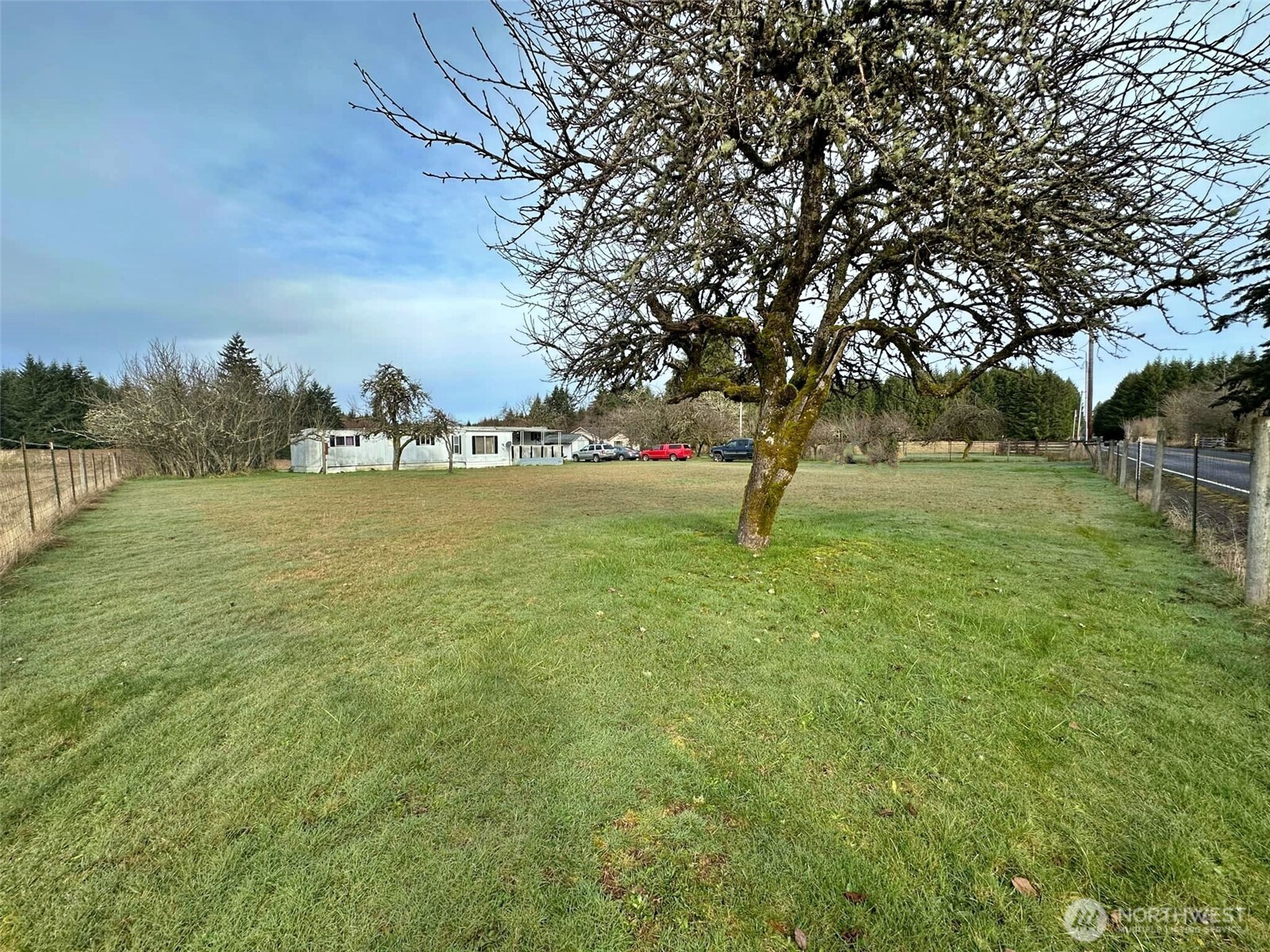 338 Berry Road Chehalis, WA 98532 - Photo 5 of 11 a backyard of a house with lots of green space