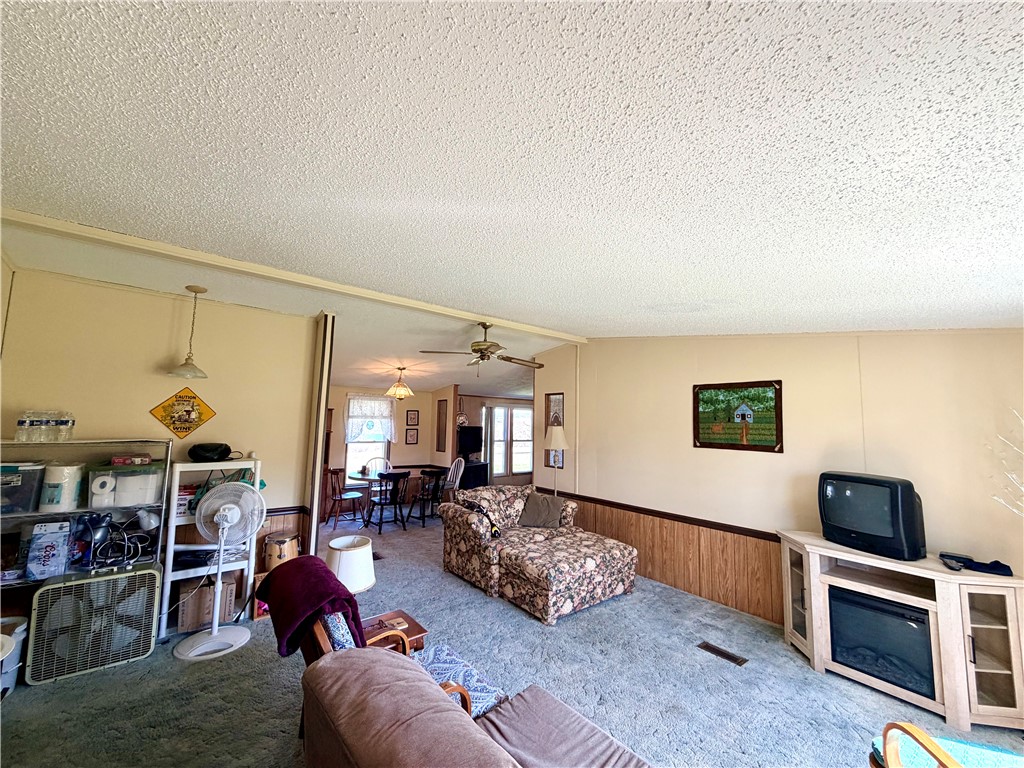 207 Dundee-Starkey Road Starkey, NY 14837 - Photo 12 of 34