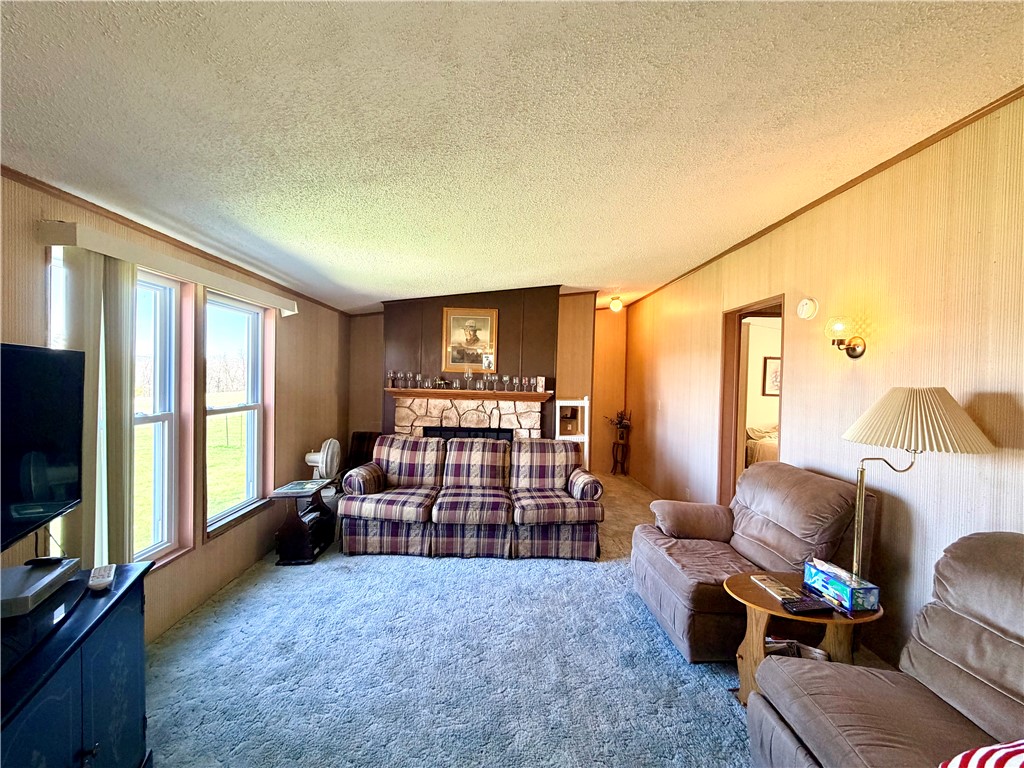 207 Dundee-Starkey Road Starkey, NY 14837 - Photo 14 of 34