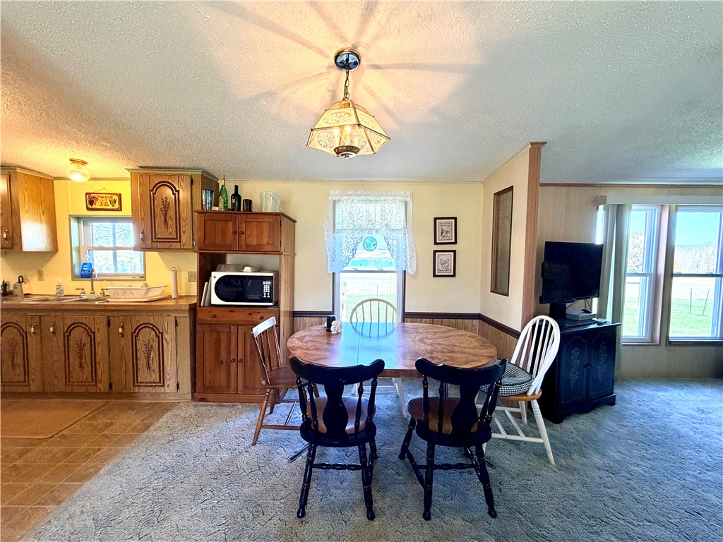 207 Dundee-Starkey Road Starkey, NY 14837 - Photo 9 of 34