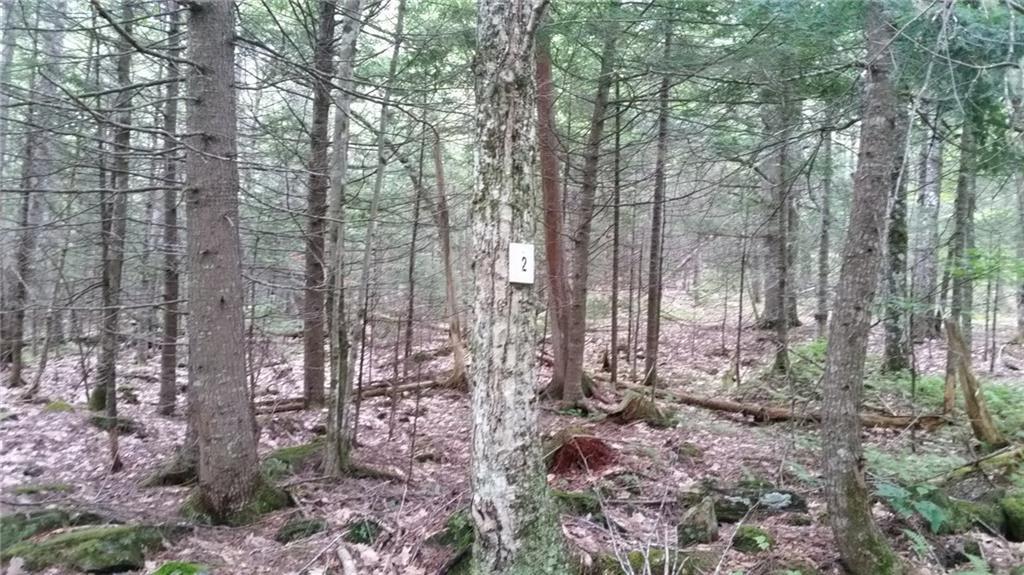 0 Garden Road, Unit LOT 2 Monroe, ME 04951 - Photo 1 of 13 Photo