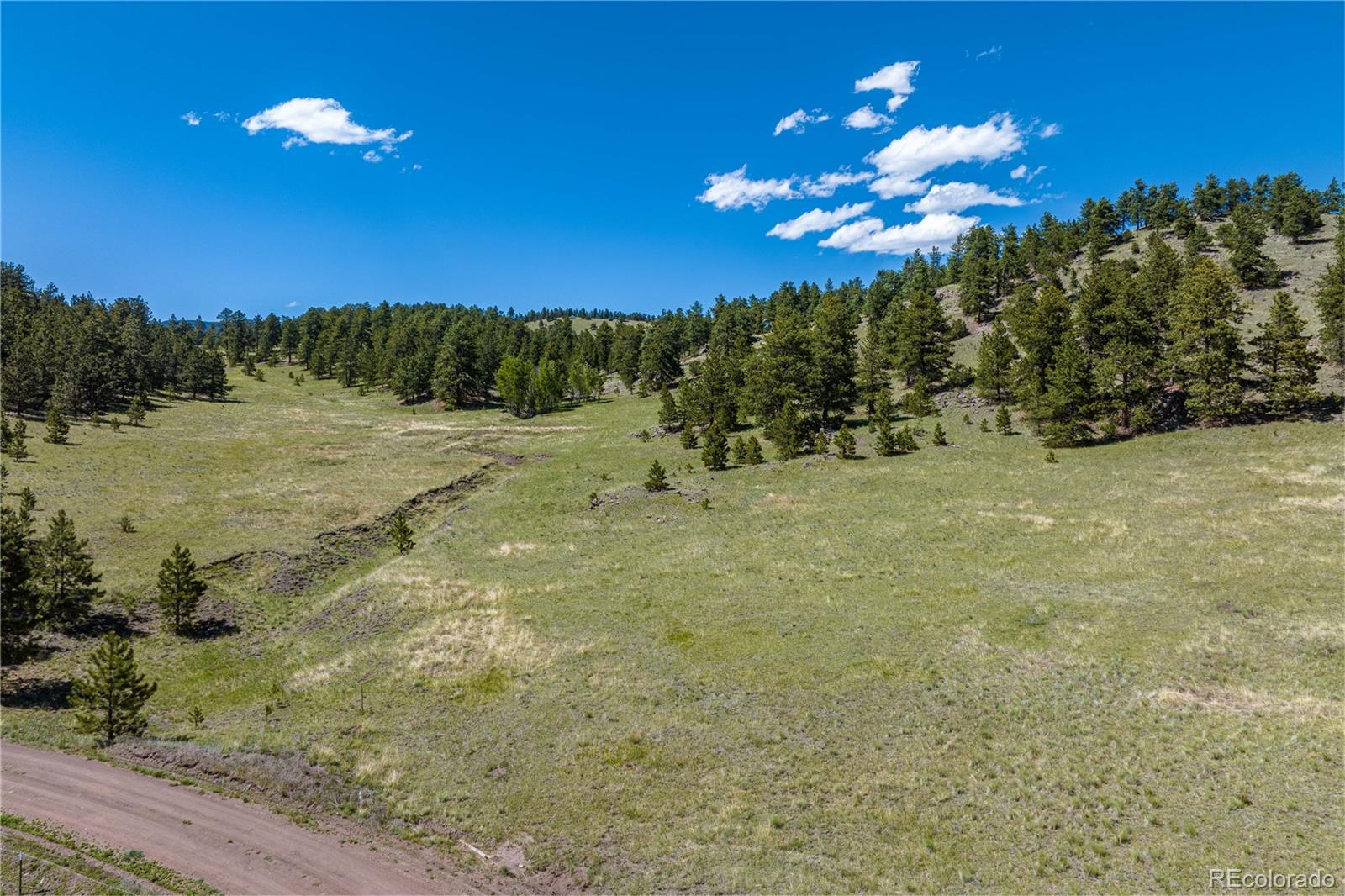 2099 Julia Road Guffey, CO 80820 - Photo 12 of 35