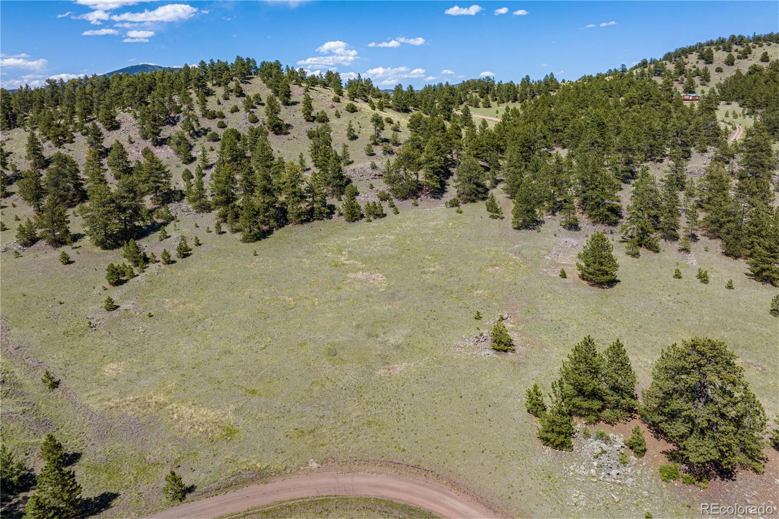 2099 Julia Road Guffey, CO 80820 - Photo 19 of 35 a view of a pathway of a yard